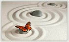Bild 96 von 239