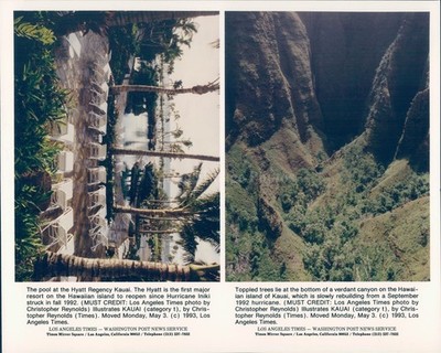 1993 Hyatt Regency Kauai Major Resort Hawaii Island Hurricane Vintage Photo 8x10