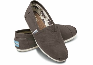 toms ash grey canvas