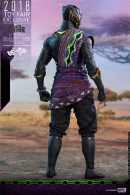 Hot Toys MMS487 Black Panther 1/6th scale T'Chaka Collectible