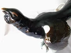 Herzinger & co Volkstedt faience factory figurine porcelain figurine capercaillie h 26.5 cm