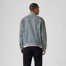 Levi's Men's Relaxed Fit Striped Trucker Jacket