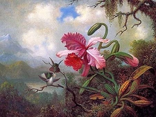 Bright pink orchid Accent Tile Mural Kitchen Bathroom Wall Backsplash 8x6