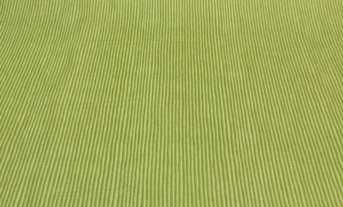 BRAEMORE KOLAR KIWI GREEN STRIPE UPHOLSTERY CUSHION FABRIC BY THE YARD 54" WIDE - Picture 1 of 5