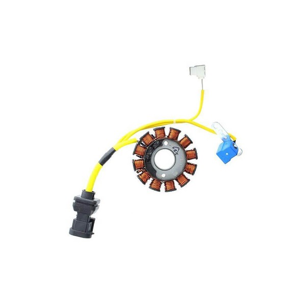Lichtmaschine Stator Passend FüR Aprilia SR 125 Motard 2012-2016-image