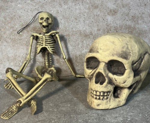 VTG 16” Articulating Skeleton Model Hanging Plus Styrofoam Skull Head 6” X 7.5”