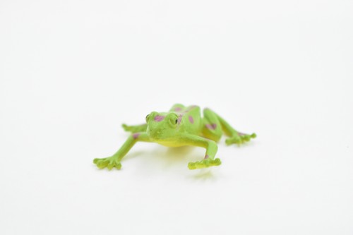 Frog Green Spotted Plastic Toy Realistic Figure Model Replica 1.5" CWG22 - Picture 3 of 6