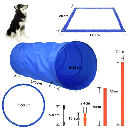 Beginner Dog Agility Slalom Set Dog Training Hurdle Jump Ring Tunnel Bag - Picture 2 of 12