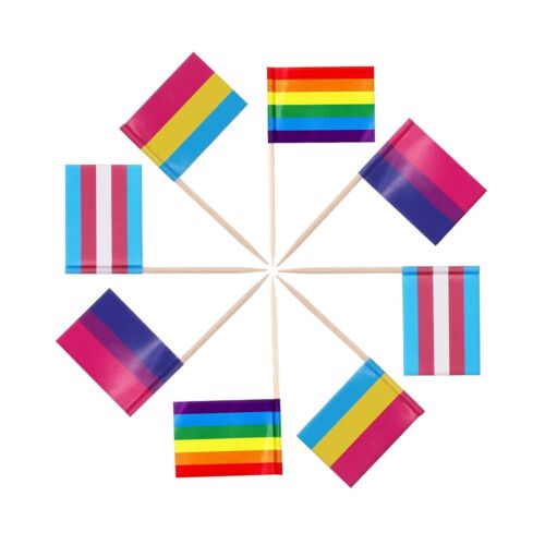 144Pcs Rainbow Proud Toothpick FlagSmall Mini LGBT Gay Cupcake Decorative Fla...