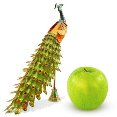 画材 Peacockesque 画材 Peacockesque Peacock Painting 3d textured