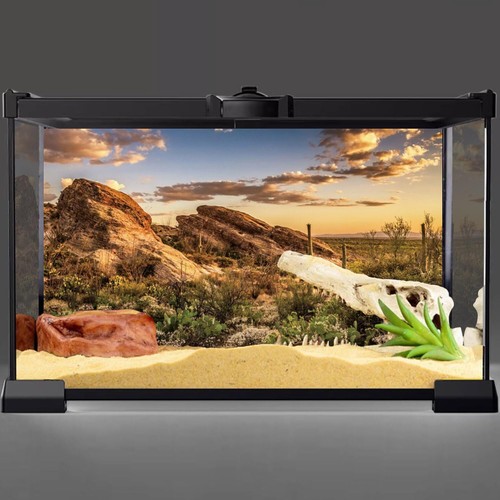 Reptile Habitat Background Blue Sky Oasis Cactus Sun and Desert Terrarium Bac... - Picture 2 of 4