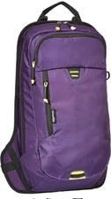 New Amazon Basics Daylite Cycling Backpack Purple