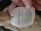 Foto 9 di 15