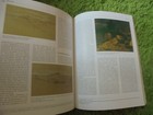 Foto 3 di 4