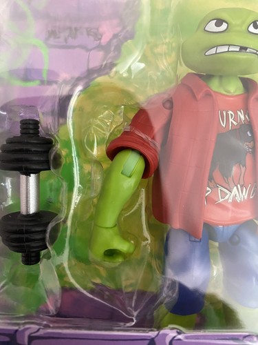 Tales Of The Teenage Mutant Ninja Turtles High School Raphael New!! - Picture 3 of 5