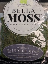 Syndicate 1406-12-1081 Bella Moss Preserved Reindeer Moss 80 Cu In Dark Green