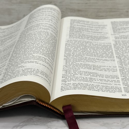 The NET New English Translation Bible First Beta Edition Bonded Leather 57875 - Bild 12 von 23