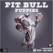 Pit Bull Puppies 2026 Wall Calendar - 12 Months, 12"x24", Gift Idea