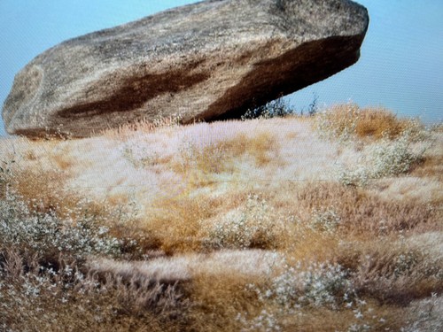 Samsung (LF27T350FHNXZA) 27" 75hz, FHD IPS Monitor - SEE PICTURES - Picture 3 of 7