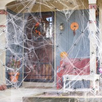 Halloween Spinnennetz Deko 200G Mit 30 Spinnen FüR Gruselige Dekoration