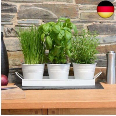 transparente pflanztöpfe Transparente Anzuchttöpfe – klare Sicht aufs Wurzelwerk main image 1