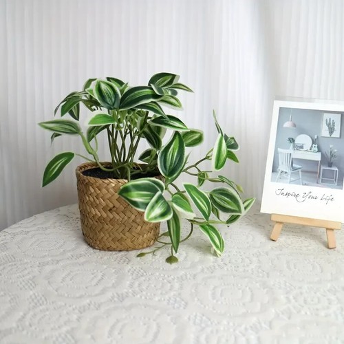 Artificial Trailing Peperomia in Woven Basket, Lifelike Greenery Décor - Picture 3 of 3