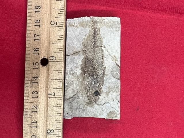 Picture 2 of 4