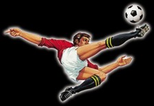 Mancolista Figurine (Stickers) Calciatori Panini 2006-2007-2008-2009-2010