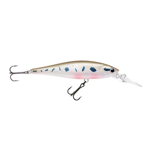 Lucky Craft Pointer DD Pêche Japon Wobbler Profi Appât pour Truite Perche - Photo 6/8