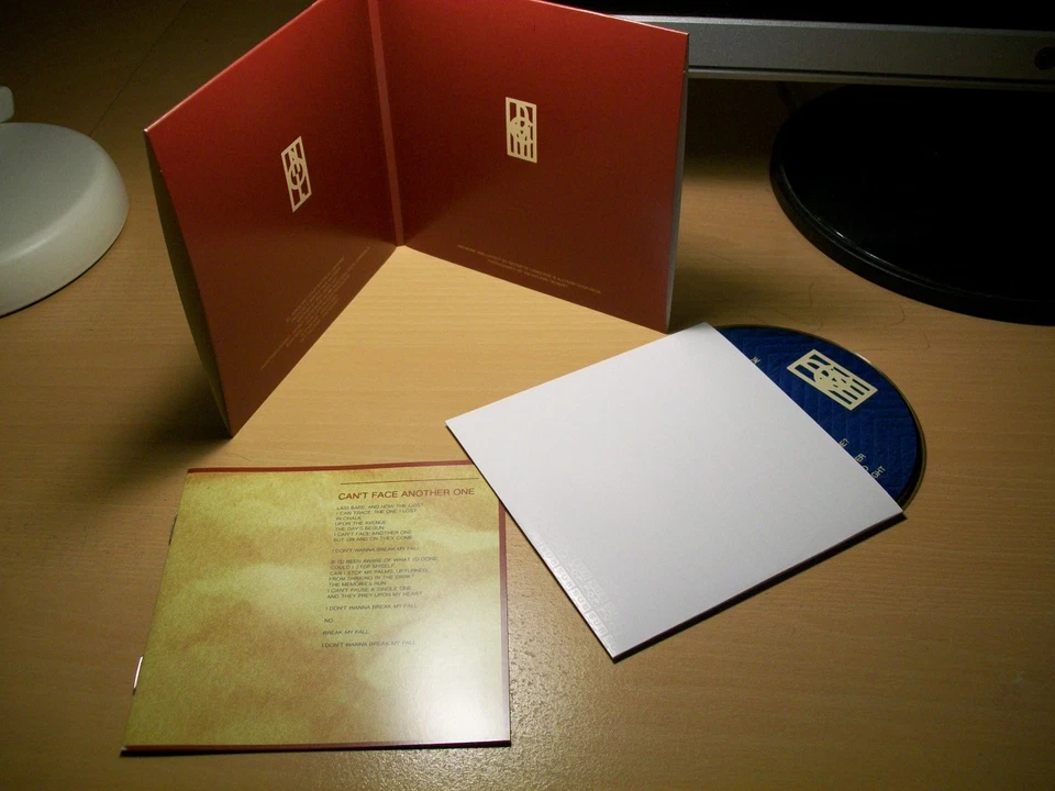 NATION OF LANGUAGE: Dance Called Memory (Sup Pop,Synth-Pop, Post Punk, Wave 2025 - Bild 3 von 4