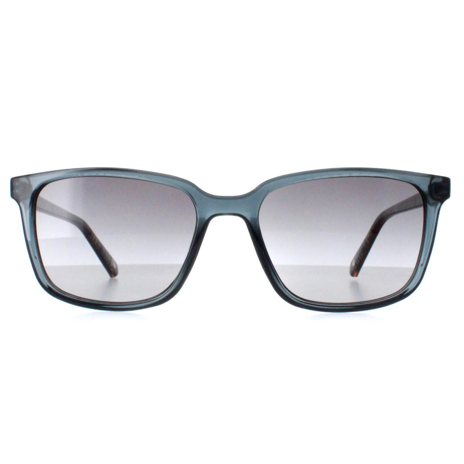 Ted Baker Sunglasses TB1529 Farley 625 Dove Blue Blue Grey Gradient