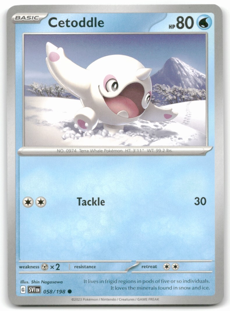 Pokemon Trading Card TCG Cetoddle #058
