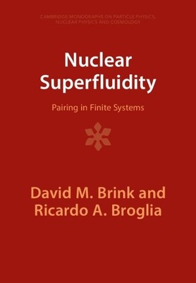 David M. Brink Ricardo A. Broglia Nuclear Superfluidity (Taschenbuch)