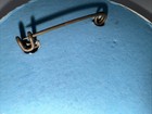 Vintage Button | 2.25” Round Pin | SPUT S.P.U.T. | Philadelphia Badge Co. | RARE — photo 5