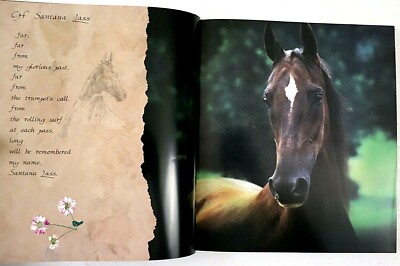 Horses of the Sun ロバート・ヴァヴラ Horses of the Sun by Robert Vavra 1995 Hardcover DJ Gallery