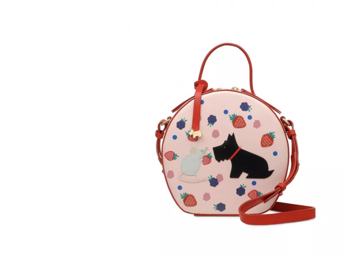 Radley circle best sale bag