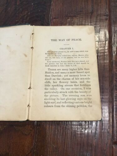 The Forbes Family: The Way of Peace Lost and Regained Book - Picture 4 of 9