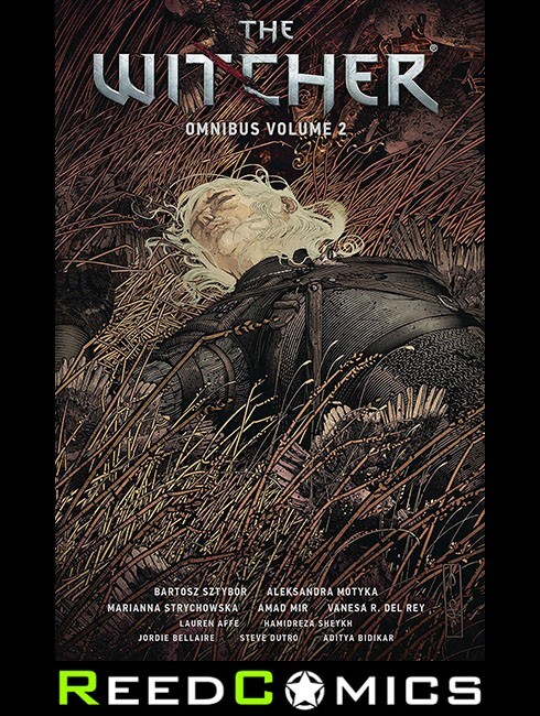 WITCHER OMNIBUS VOLUME 2 GRAPHIC NOVEL (336 Pages) New Paperback