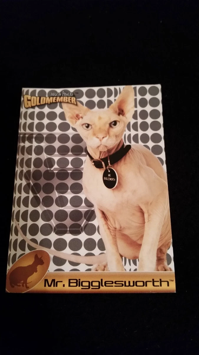 Austin powers cat 2025