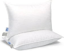 East Coast Bedding Cozy Dream Goose Feather Down Pillows RDS Certified 2pk