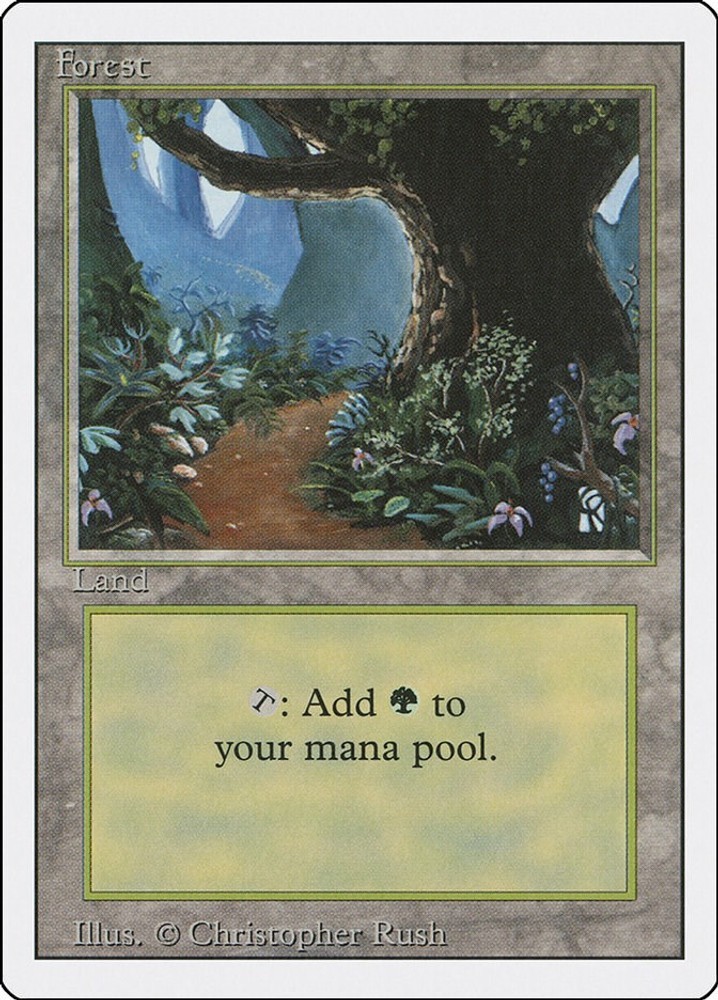 Forest (B) Normal [3ED - 305] HP MagicRevised Edition