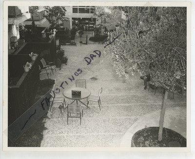 Vintage 8x10 Product Photo Warning Shot (1967 film) David Janssen Joan Collins