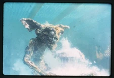 Gremlins death by sunlight of Stripe Original 35mm Transparency Stamped 1984