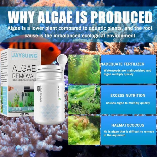 Fish Tank Cleaning Powder Tank Moss Remover High Efficient Control Algae M2W4 - Picture 11 of 13