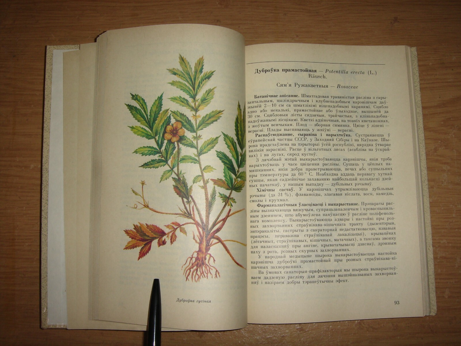 Лекавыя расліны ў комплексным лячэнні Шмярко Фитотерапия Лекарственные ...