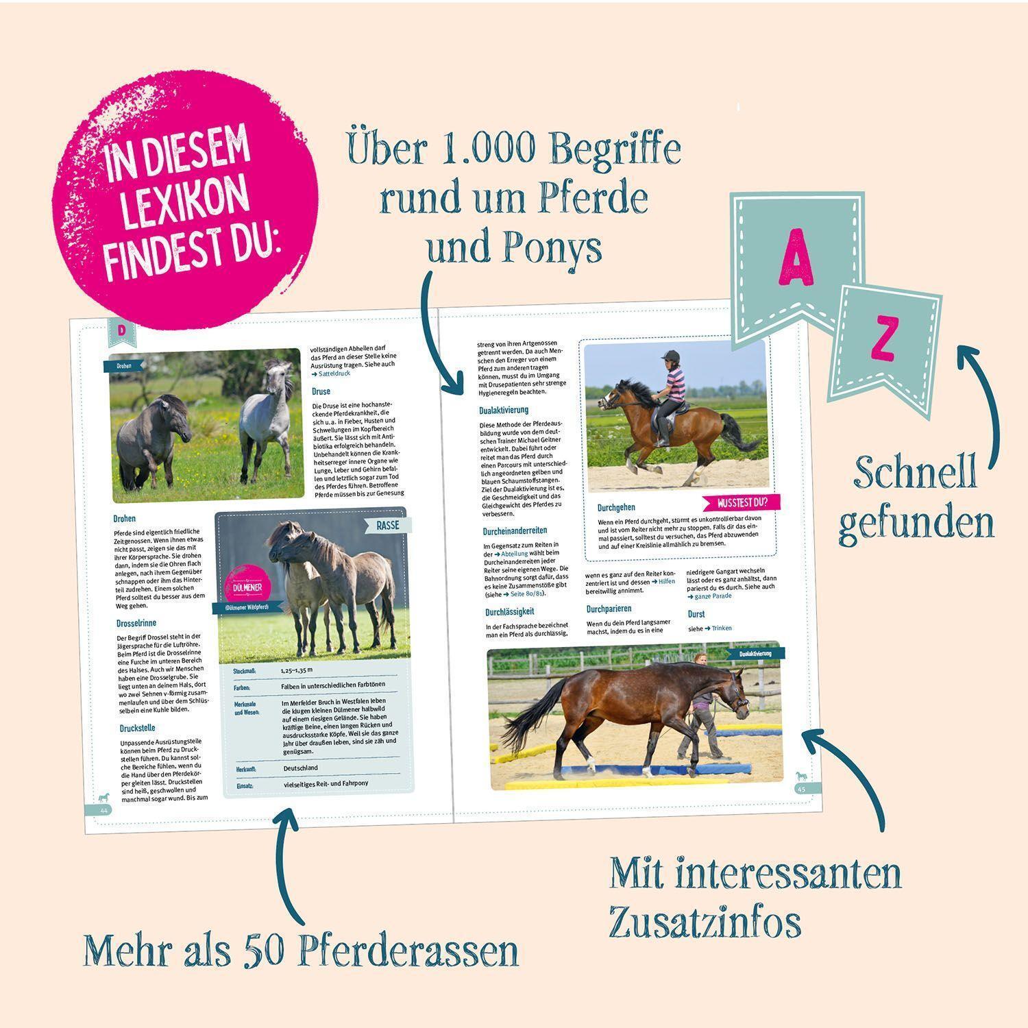 Thumbnail - Das Große Kosmos Pferdelexikon | Carola Von Kessel | Deutsch | Buch |