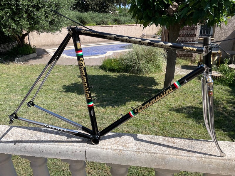 Tommasini Sintesi