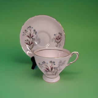 Vtg MCM Tuscan Made In England “SEAFERN” Teacup & Saucer Set Retro Pale Pink