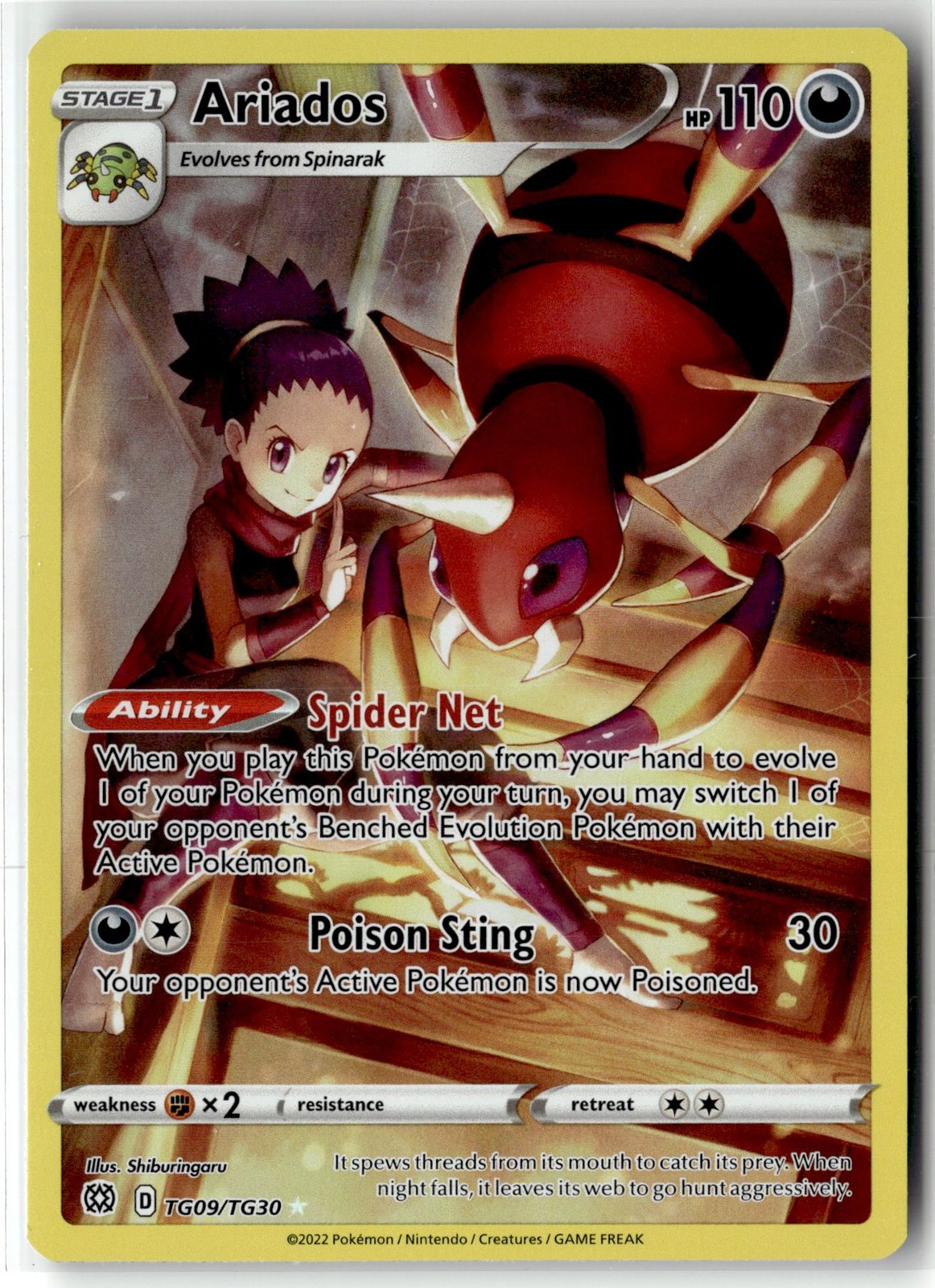 Ariados ⭐️ TG09/TG30 Holo Brilliant Stars Trainer Gallery Pokemon NM