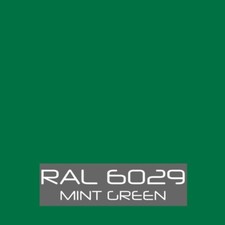 RAL 6029 Mint Green Powder Coating Paint - New 1LB